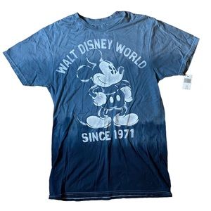 Hanes Disney Parks Nano‎ Unisex Adult Small Tie Dye T-shirt Walt Disney World